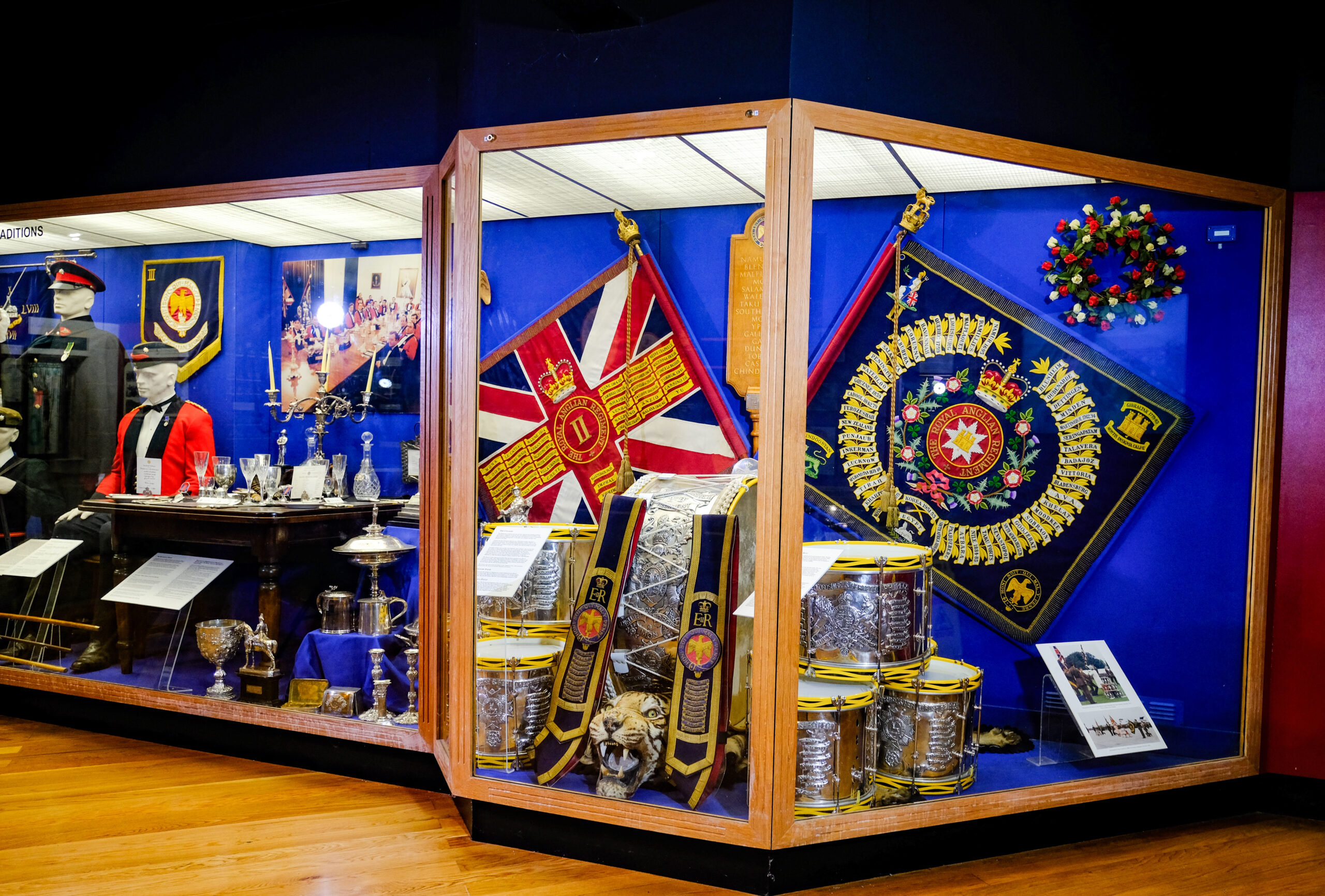 Royal Anglian Regiment Museum display