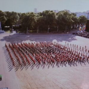 Royal Anglain Regiment Horse Guards Parade 1981
