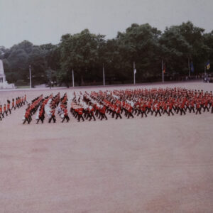 Royal Anglain Regiment Horse Guards Parade 1981 Royal Anglain Regiment Horse Guards Parade 1981