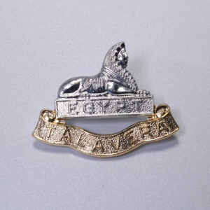 Royal Anglian Regiment 2nd Battalion capbadge