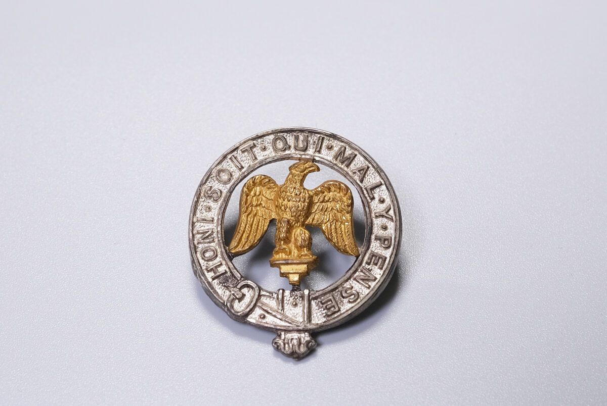 Royal Anglian Regiment 3rd Battalion collar badge