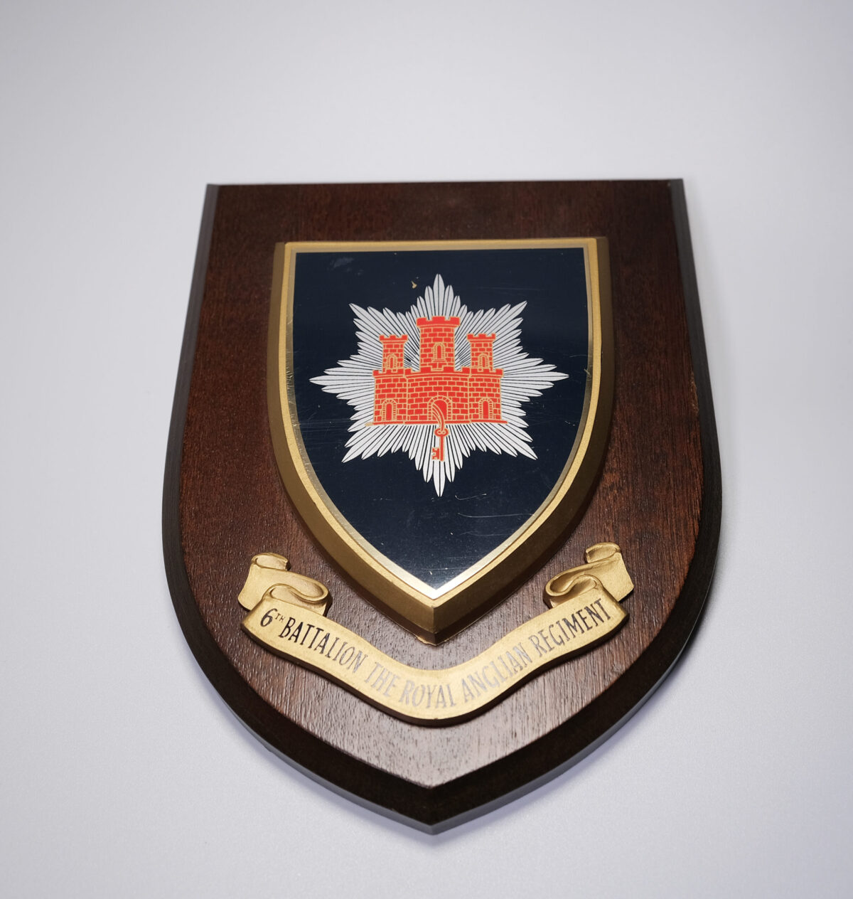 Royal Anglian Regiment 6th Battalion Plaque 1971-99 Royal Anglian Regiment 6th Battalion Plaque 1971-99