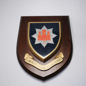 Royal Anglian Regiment 6th Battalion Plaque 1971-99