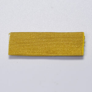 Royal Anglian Regiment Battalion Tactical Recognition Flash Yellow
