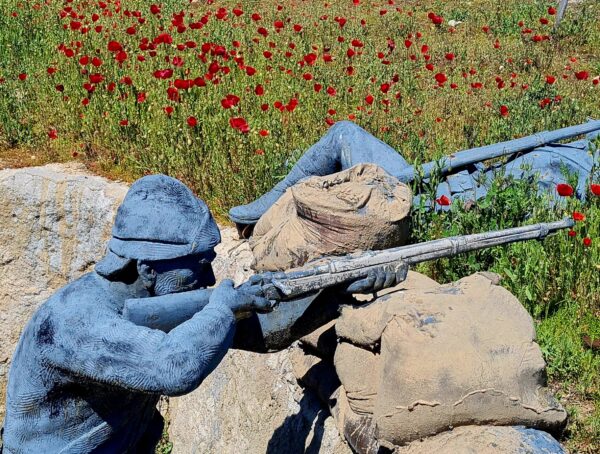 Battlefield study Royal Anglian regiment