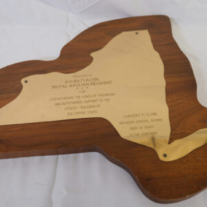 Presentation to the 6th Battalion Royal Anglian Regiment