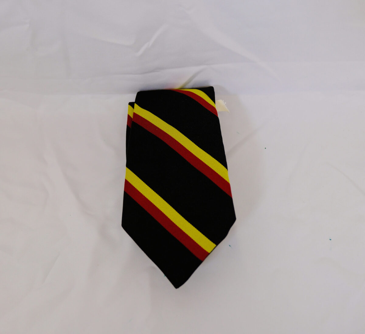 2nd Battalion, Royal Anglian Regimental tie