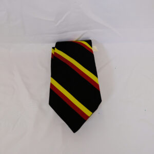 2nd Battalion, Royal Anglian Regimental tie