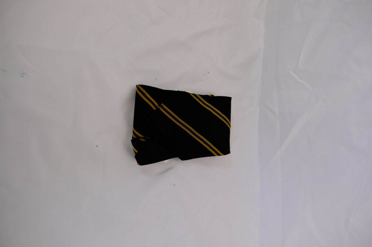 1st Battalion, Royal Anglian Regimental tie