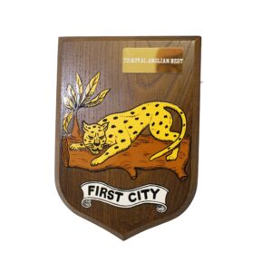 Presentation to the Royal Anglian Regiment by First City South African Army Presentation to the Royal Anglian Regiment by First City South African Army