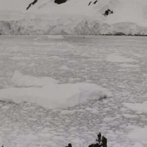 Royal Anglian Regiment on Antarctica expedition Royal Anglian Regiment on Antarctica expedition