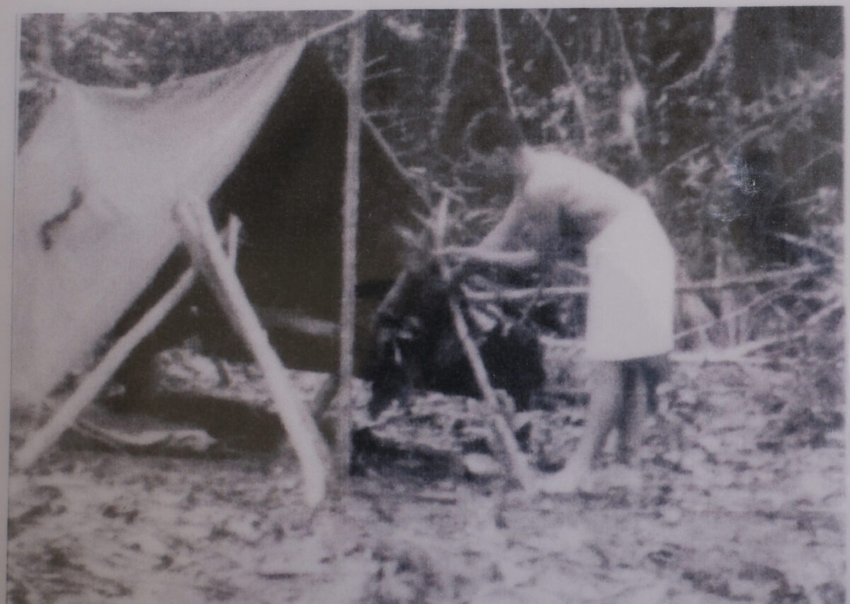 Royal Anglian Regiment in Malaya in 1960. Don Ellis building a basha Royal Anglian Regiment in Malaya in 1960. Don Ellis building a basha