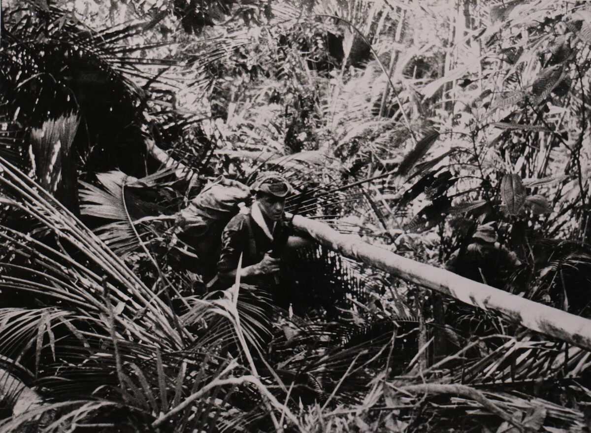 1/3rd East Anglian Regiment in Malaya 1959 in the jungle 1/3rd East Anglian Regiment in Malaya 1959 in the jungle