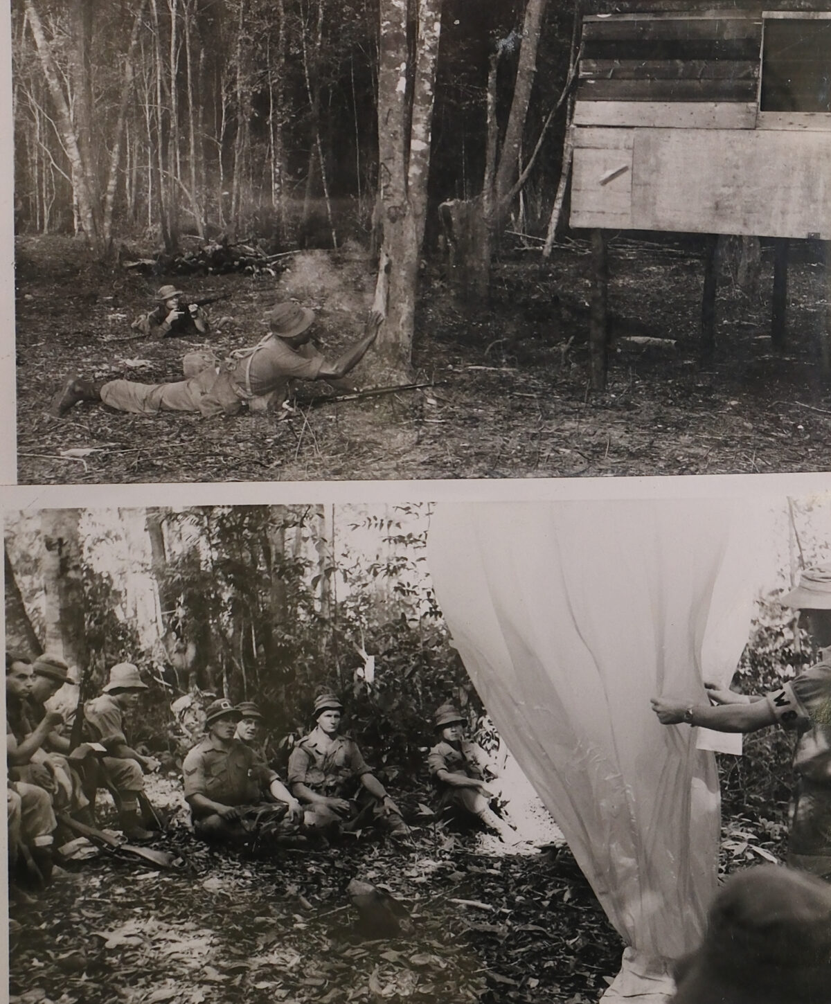 1/3rd East Anglian Regiment in Malaya 1959 in the jungle 1/3rd East Anglian Regiment in Malaya 1959 in the jungle