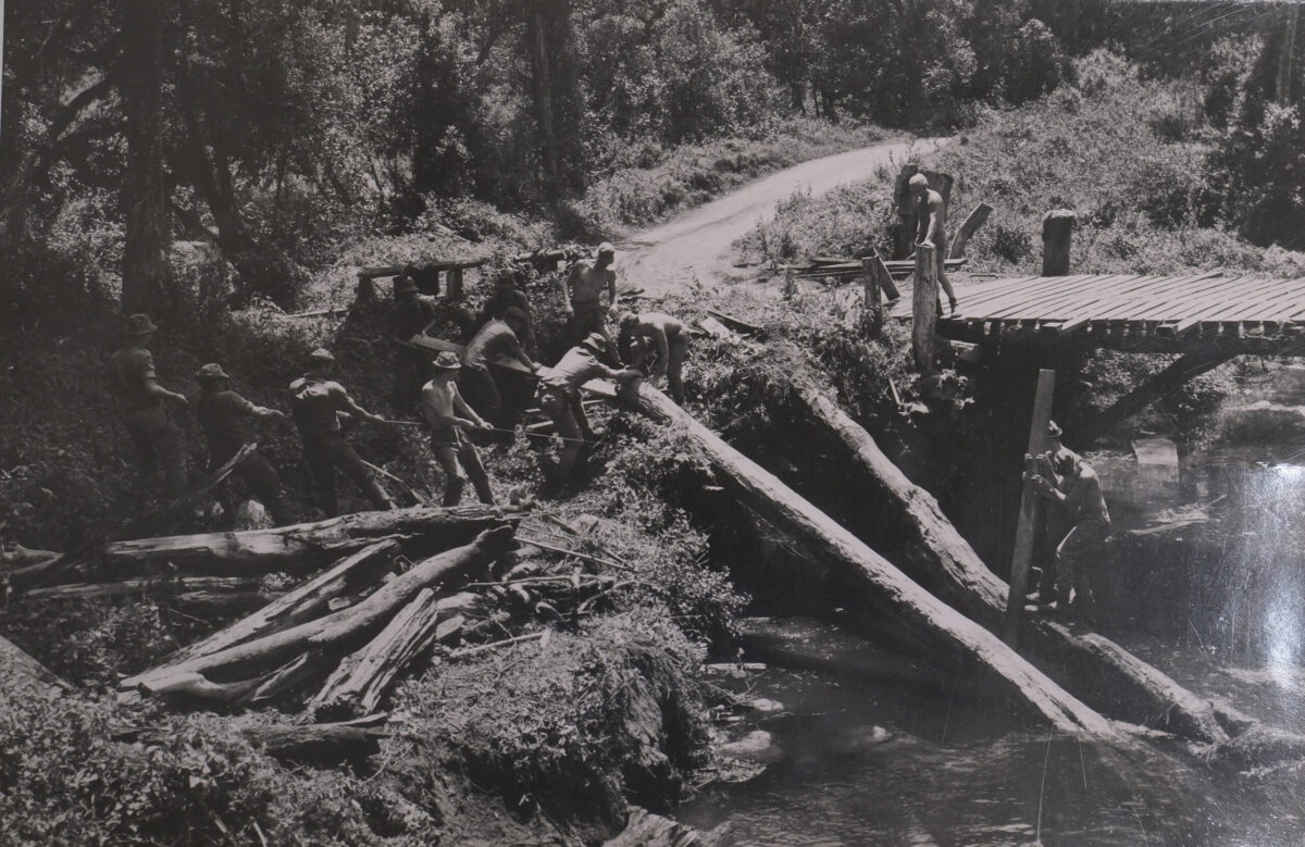 1/3rd East Anglian Regiment in Malaya 1959 in the jungle 1/3rd East Anglian Regiment in Malaya 1959 in the jungle