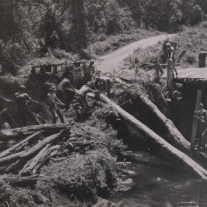 1/3rd East Anglian Regiment in Malaya 1959 in the jungle