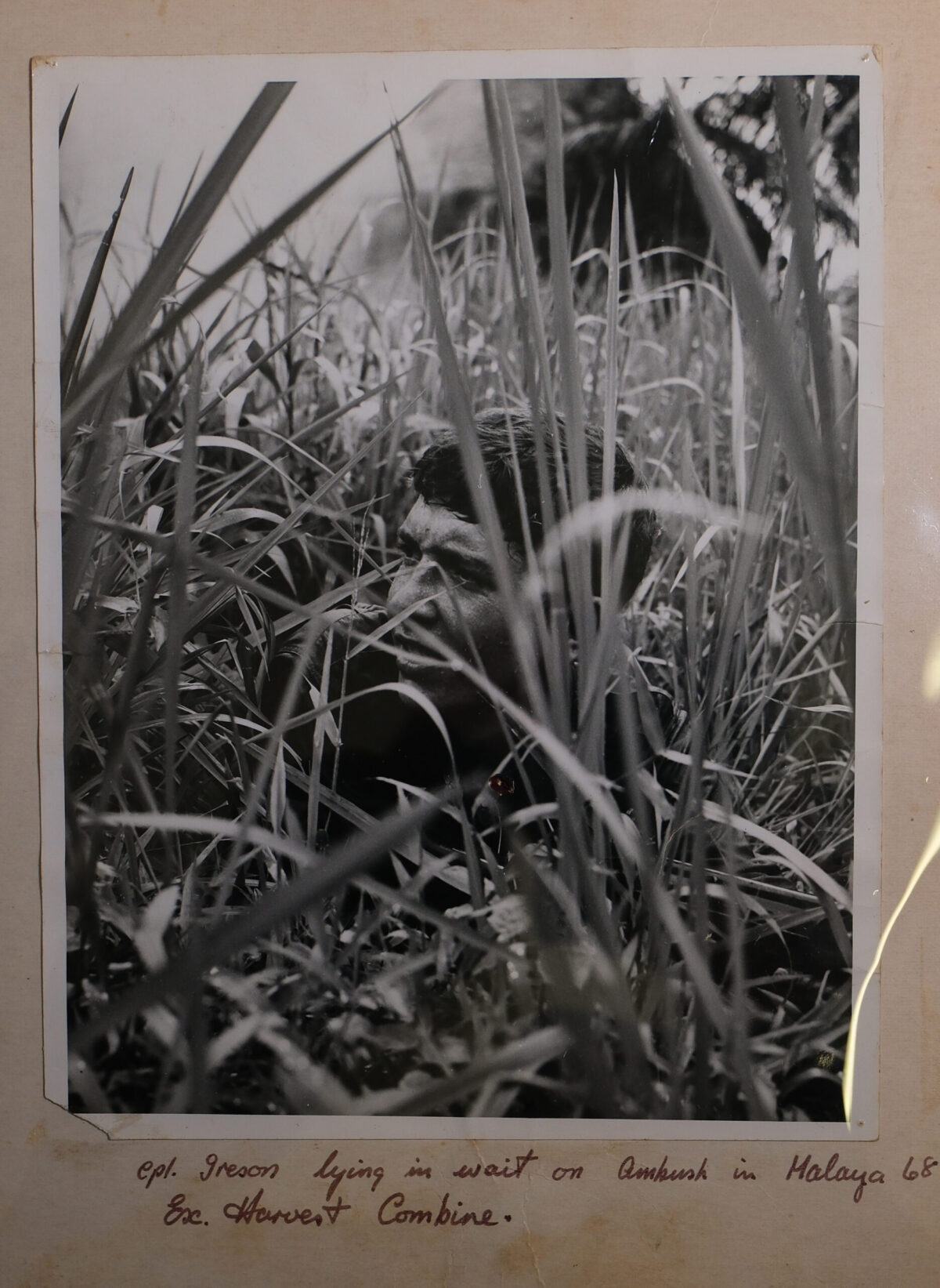 1/3rd East Anglian Regiment in Malaya 1959 in the jungle 1/3rd East Anglian Regiment in Malaya 1959 in the jungle