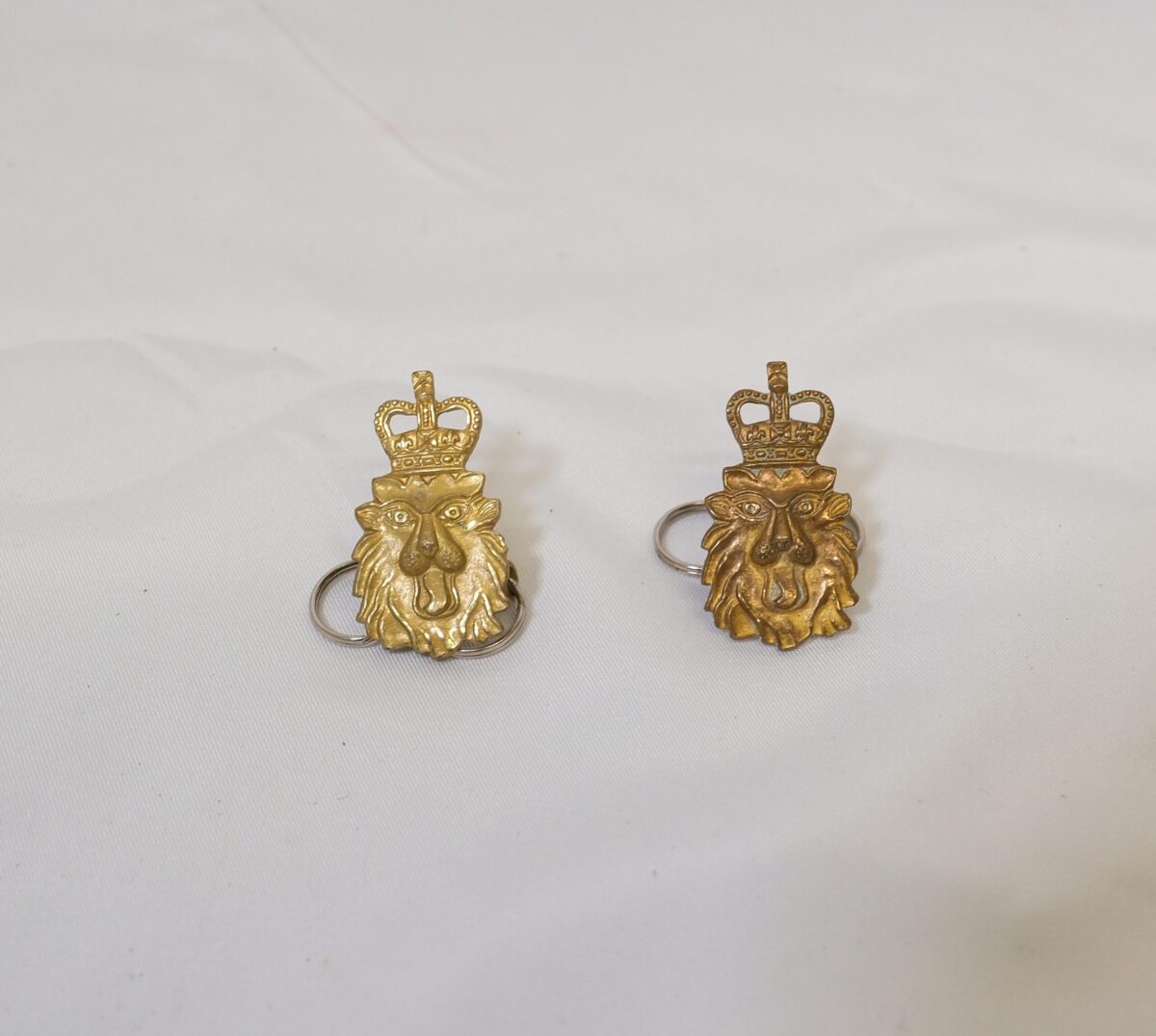 Bermuda Regiment collar dogs Bermuda Regiment collar dogs