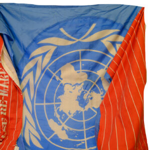 United Nations flag quilt cover