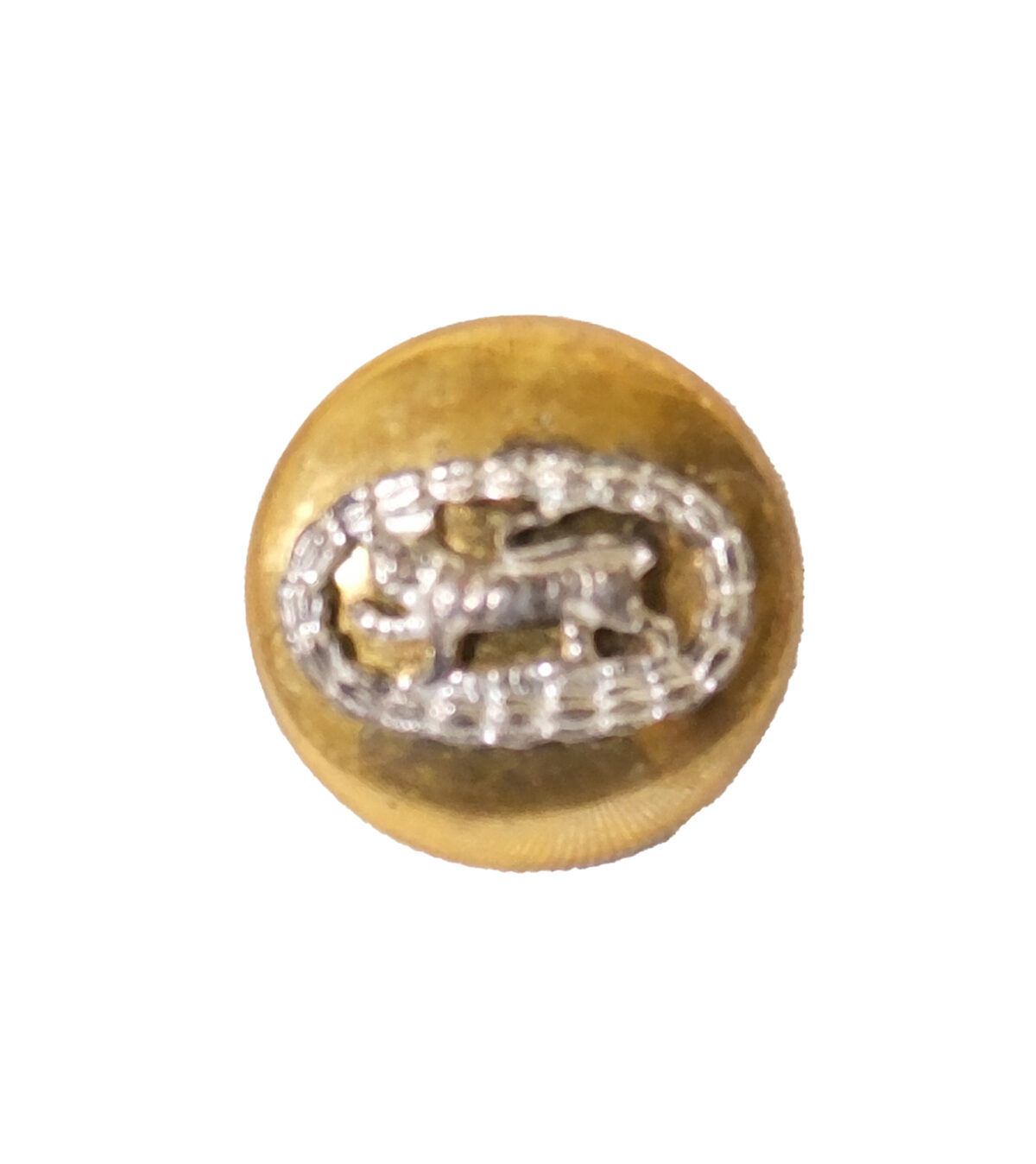 Essex Regiment Anodised Staybrite button Essex Regiment Anodised Staybrite button