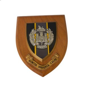 The Essex Regiment Plaque The Essex Regiment Plaque