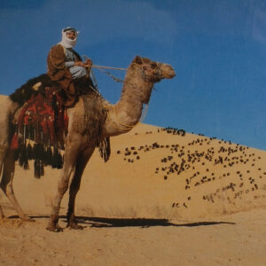 Postcard from Jordan 1999 Postcard from Jordan 1999
