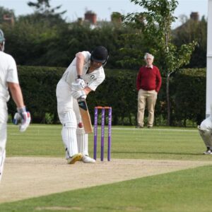 Cricket