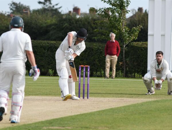 Cricket