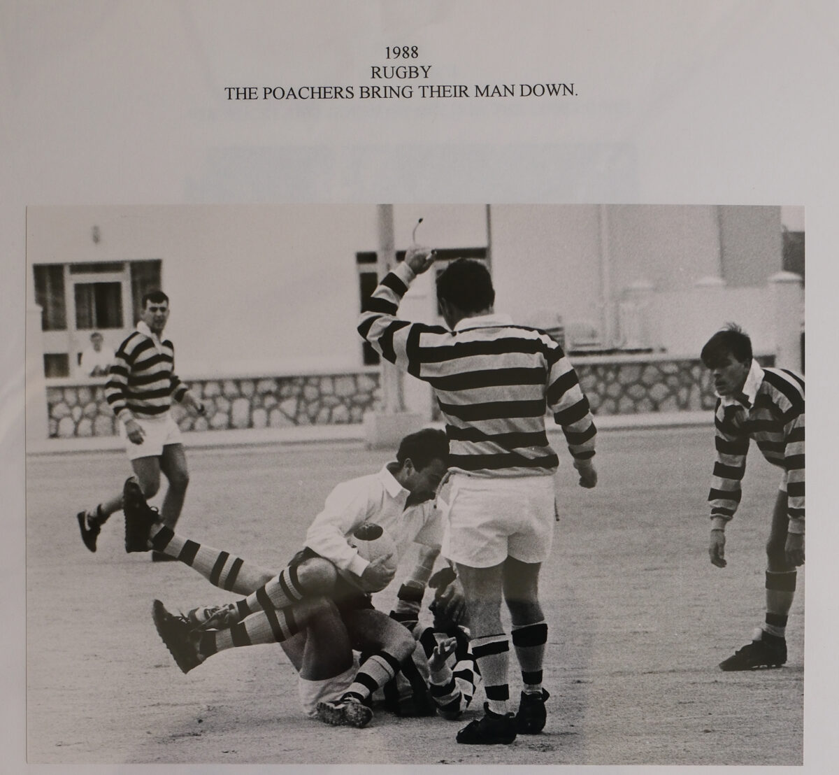 Rugby 1987 Rugby 1987