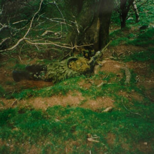 1st Battalion Training