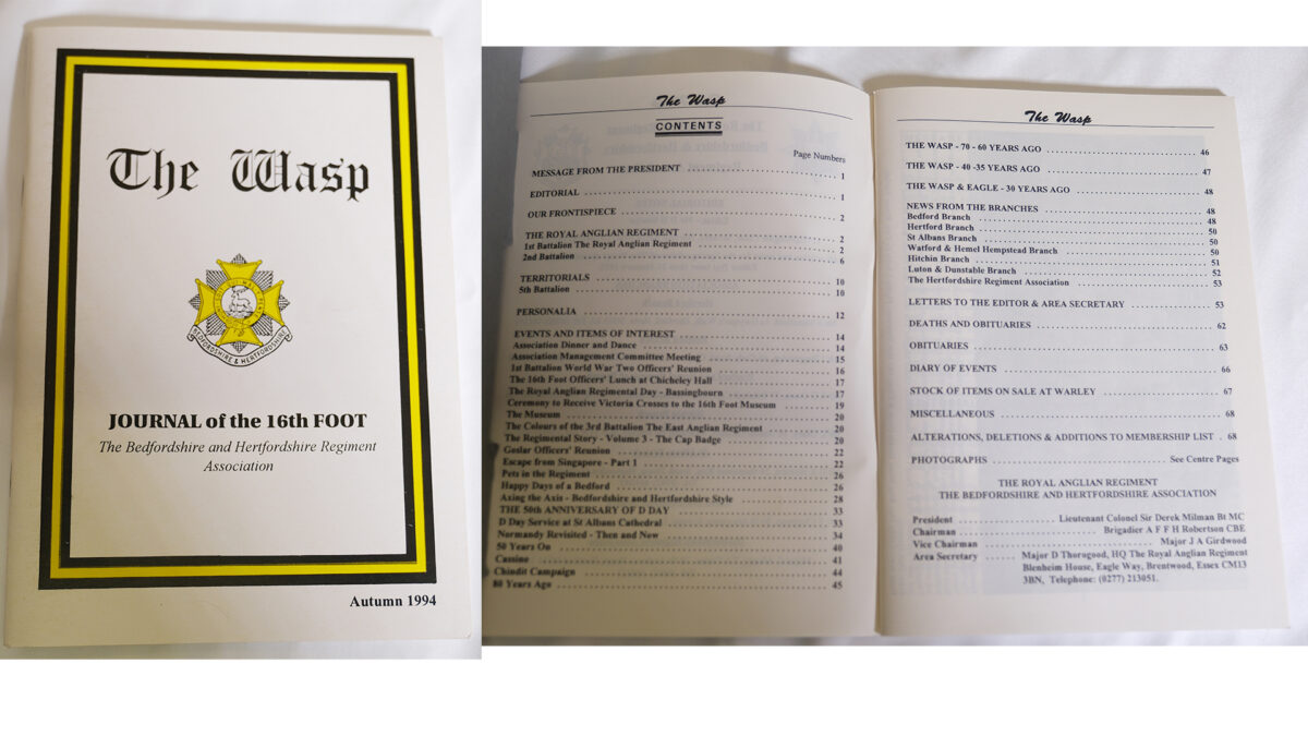 The Wasp Journal The Wasp Journal