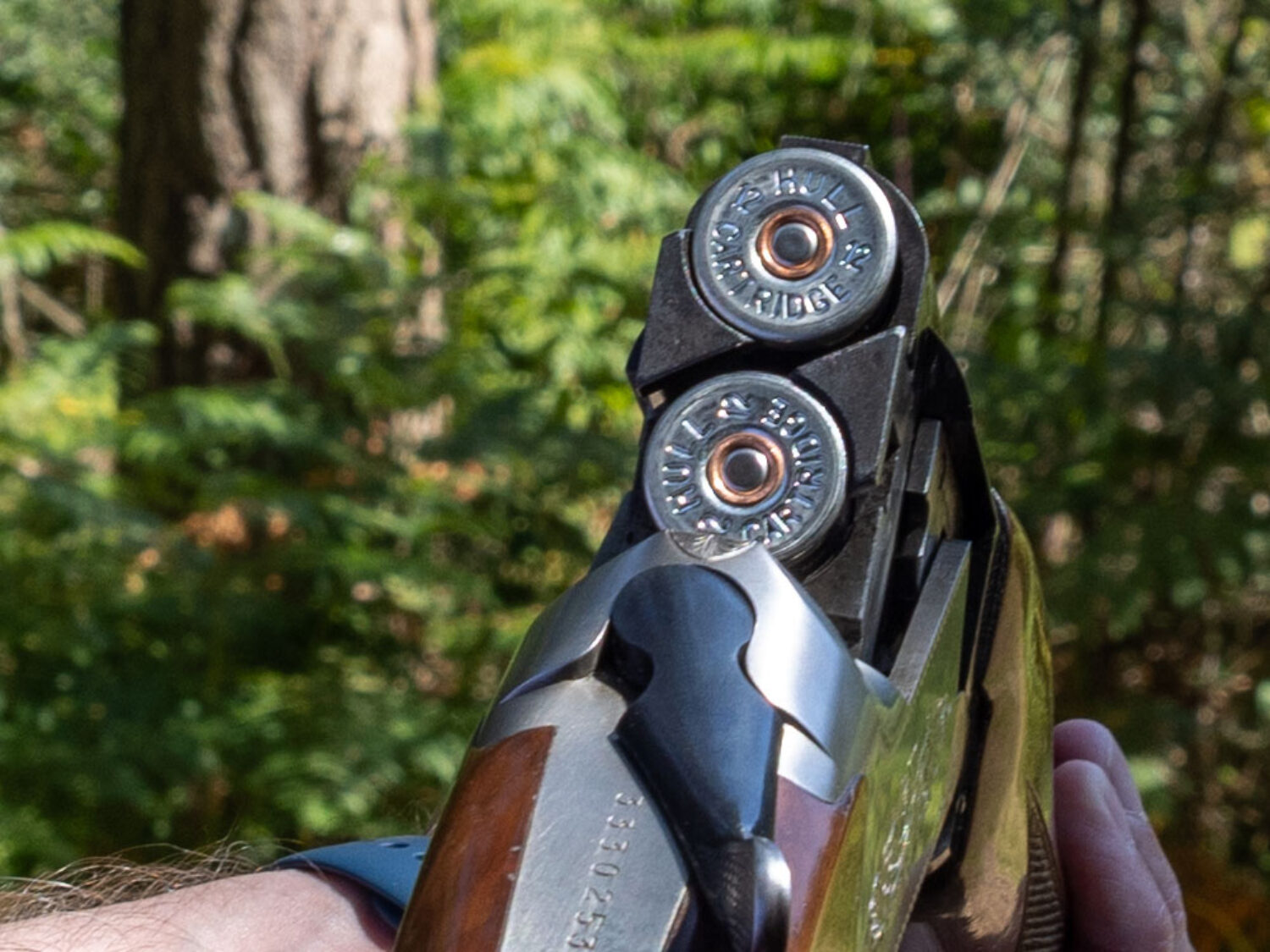 Shotgun
