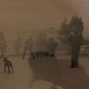 Exercise Lionheart 1984 Exercise Lionheart 1984