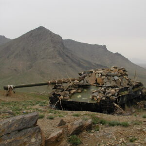 Operation FINGAL 1st Battalion, Royal Anglian Regiment