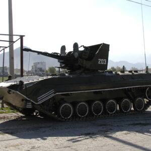 Operation FINGAL 1st Battalion, Royal Anglian Regiment