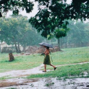 Sierra Leone Operation BASILICA - 2000