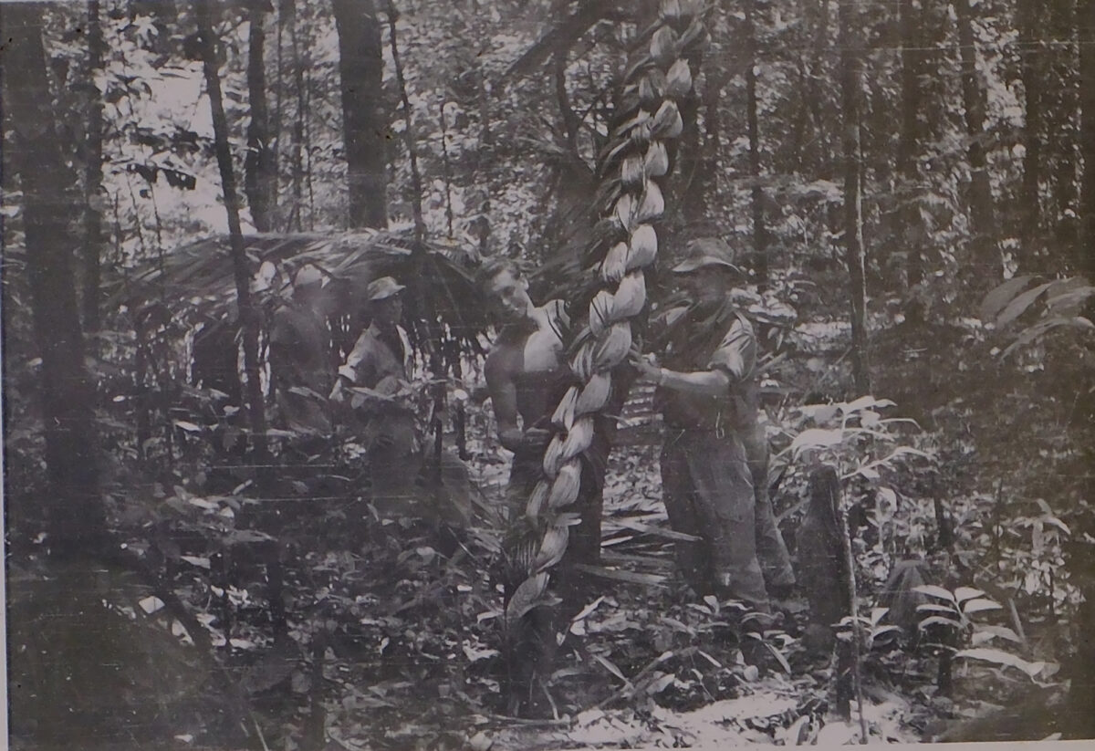 Belize 1st Battalion, Royal Anglian Regiment