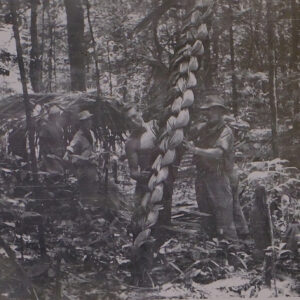 Belize 1st Battalion, Royal Anglian Regiment