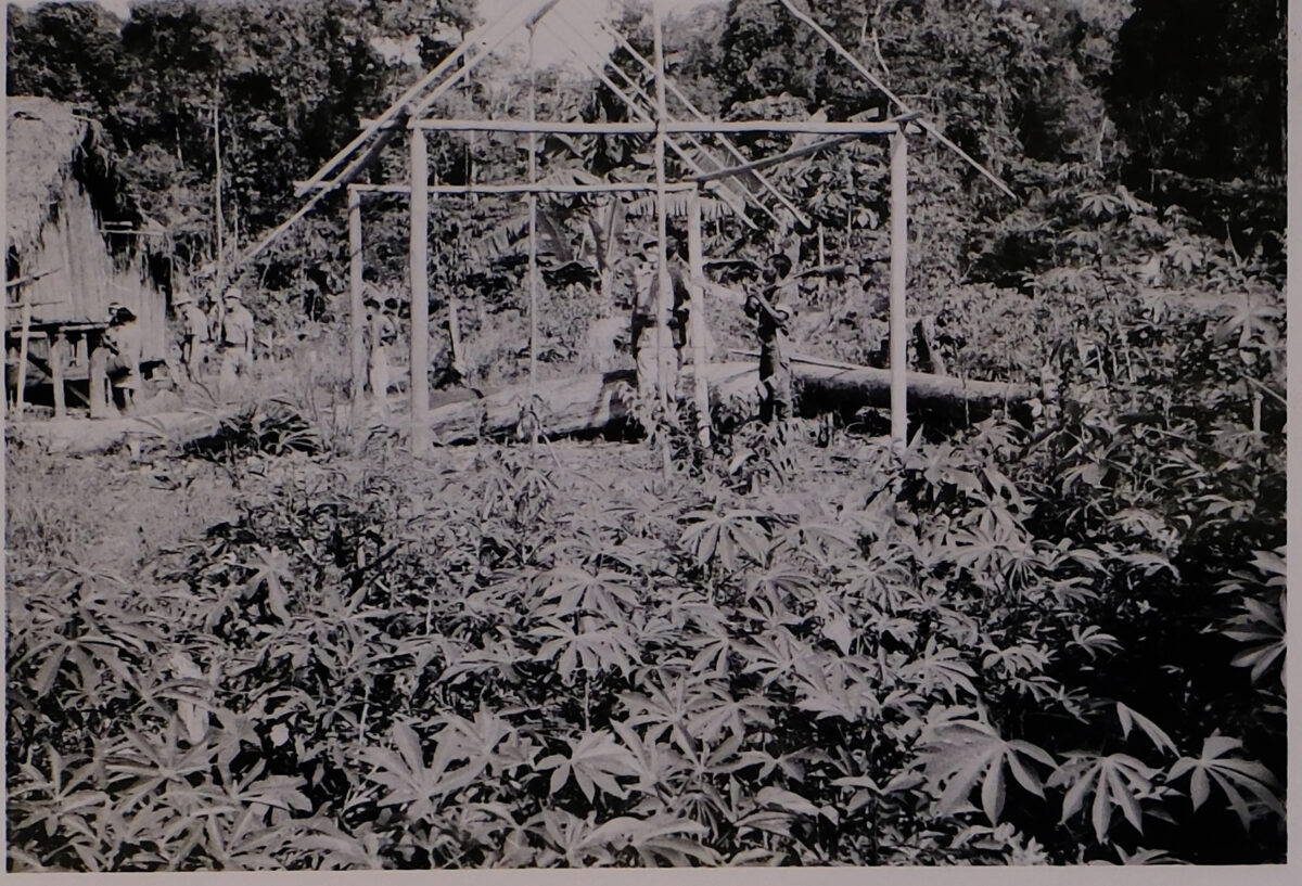 Belize 1st Battalion, Royal Anglian Regiment