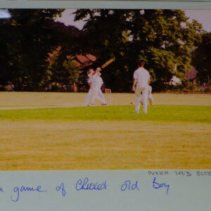 Cricket Cricket