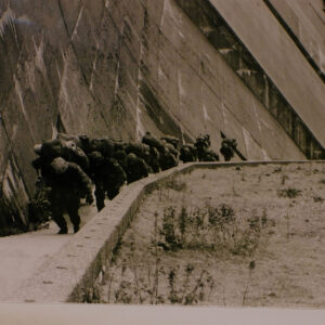 Royal Anglian Regiment Royal Anglian Regiment