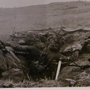 Royal Anglian Regiment Royal Anglian Regiment