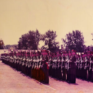 Royal Anglian Regiment Royal Anglian Regiment