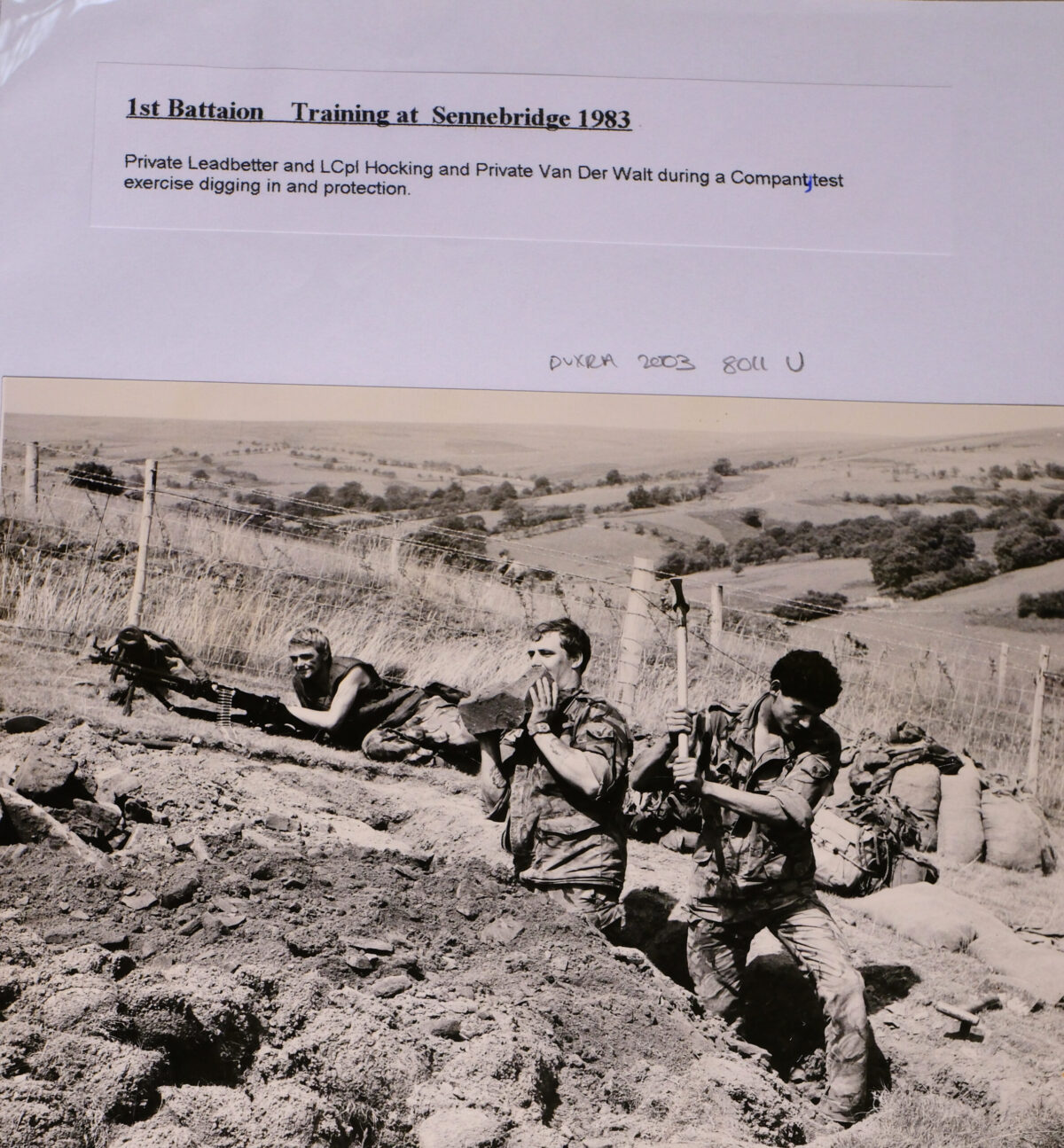 Royal Anglian Regiment