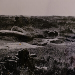 Royal Anglian Regiment