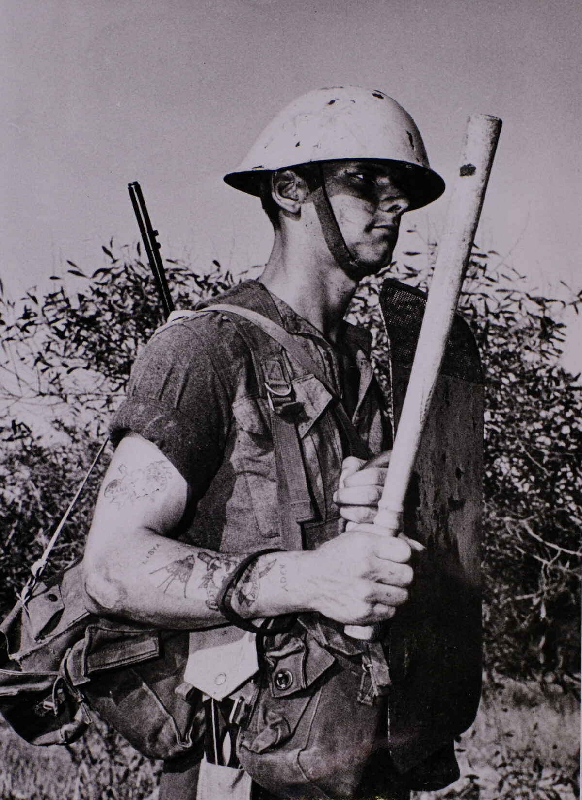 2nd Battalion Royal Anglian Regiment