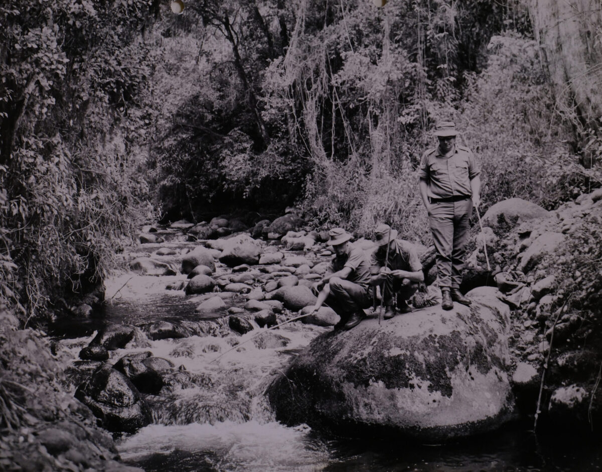 Royal Anglian Regiment