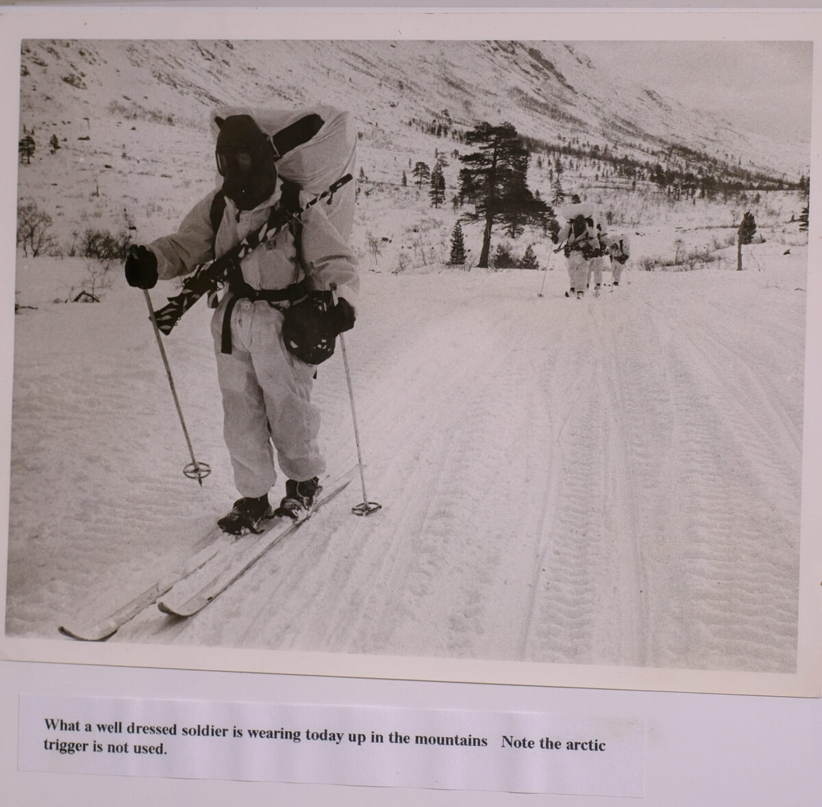 Royal Anglian Regiment