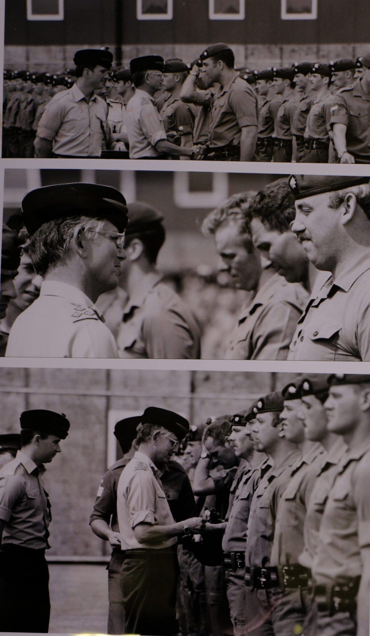 Royal Anglian Regiment Royal Anglian Regiment