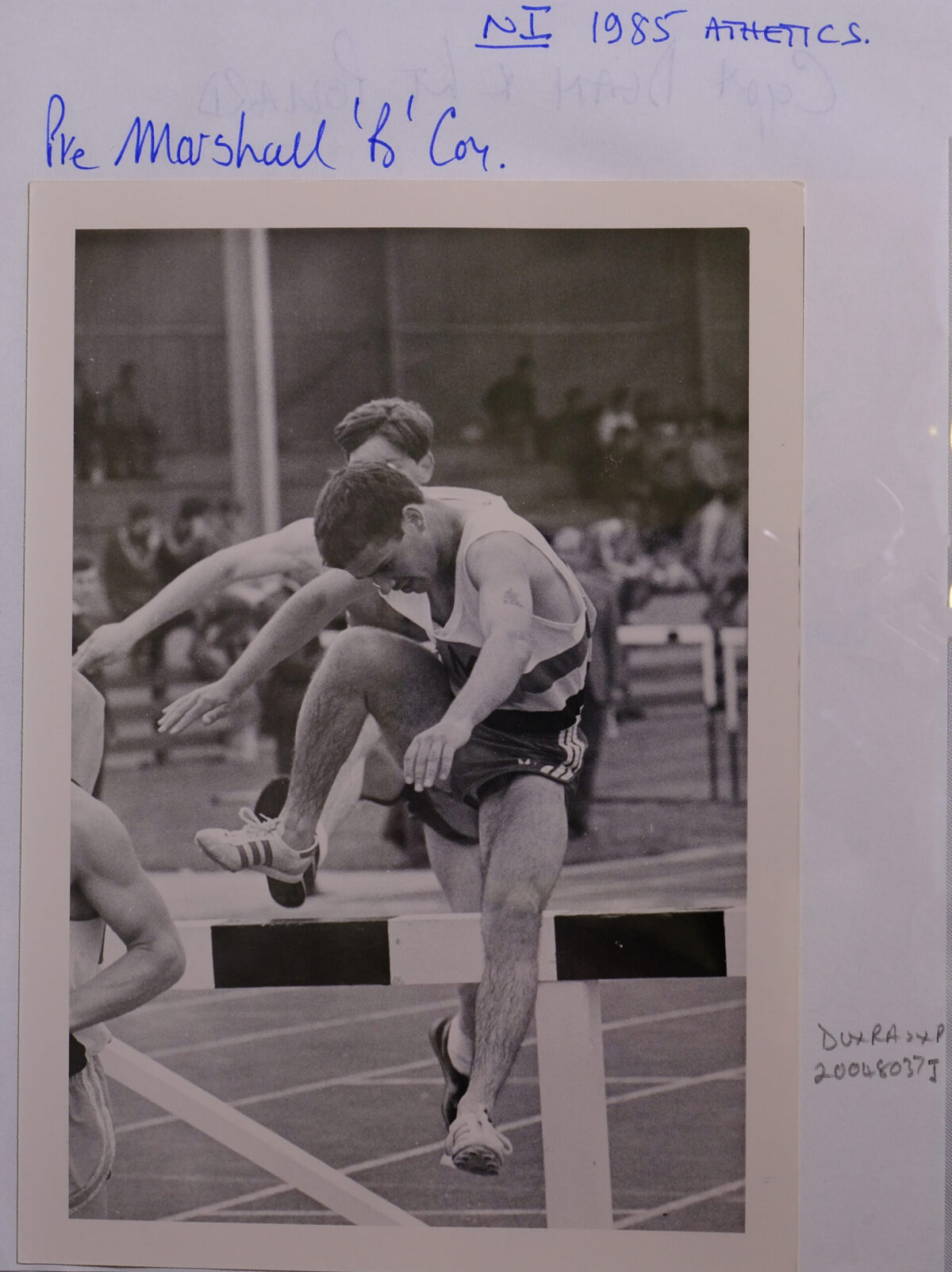 Royal Anglian Regiment Royal Anglian Regiment